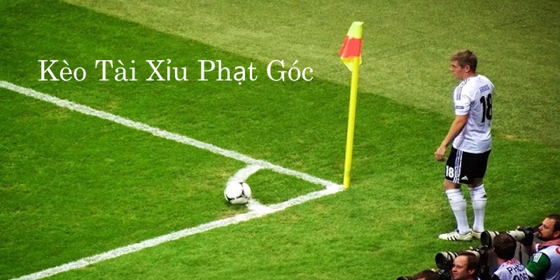 Chơi Tài Xỉu Corner dễ dàng với kiến thức cơ bản